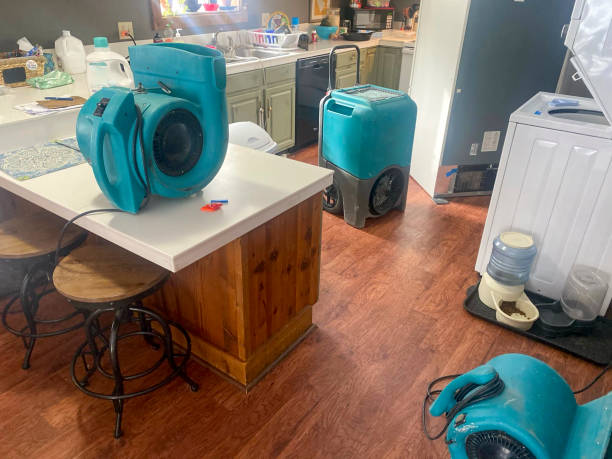 Water damage restoration process in Bellevue, WA