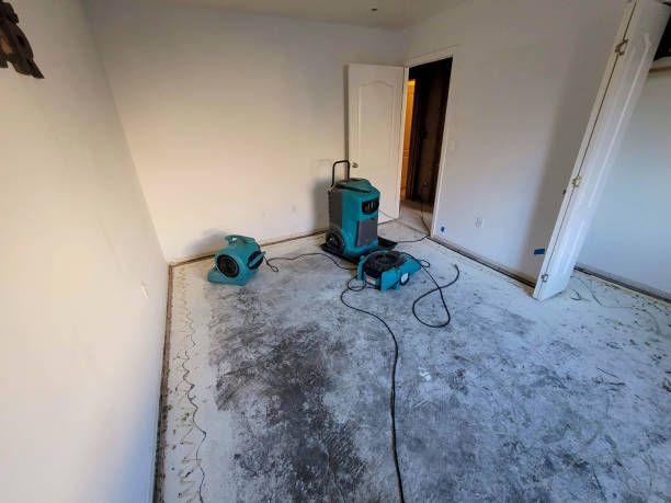 Best 24-hour water damage restoration  in Bellevue, WA