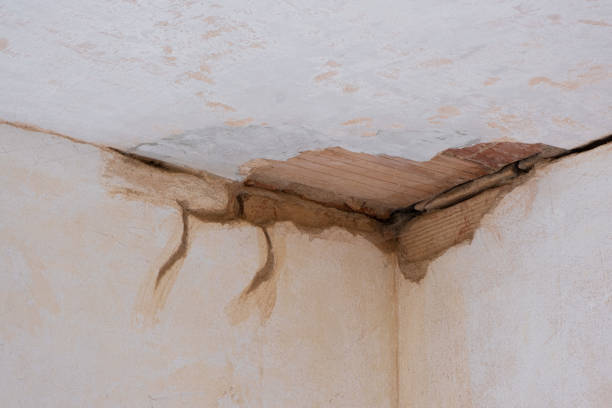 Bellevue, WA Water damage restoration Company