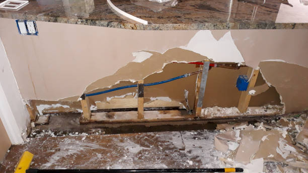 Best Water damage contractors near me  in Bellevue, WA