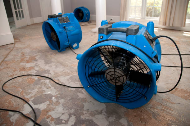 Water damage restoration experts in Bellevue, WA