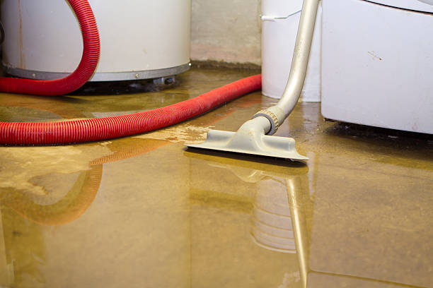 Best Flood damage cleanup  in Bellevue, WA