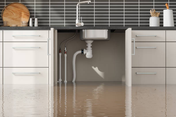 Best Professional water damage repair  in Bellevue, WA