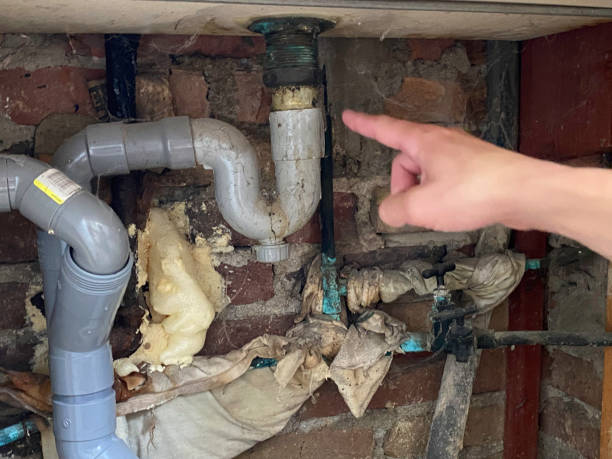 Best Flood restoration services  in Bellevue, WA