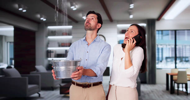 Best Water damage restoration near me  in Bellevue, WA